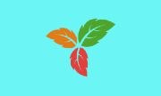 Trilium Notes v0.104.1 中文绿色版下载 - 开源笔记应用程序
