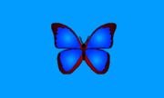 bkViewer v8.8f 中文绿色版下载 小巧精悍的数码照片浏览器
