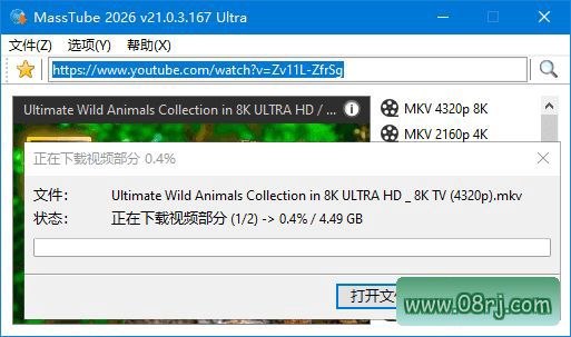 MassTube(YouTube视频下载工具) Ultra v22.0.1.214 多语便携版