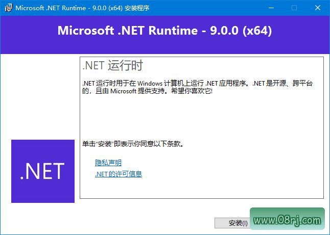 Microsoft .NET Runtime v10.0 下载界面