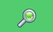 dnGrep v5.0.49.0 中文绿色版下载 - 文件搜索工具