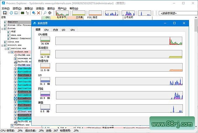 Process Explorer 中文版 v17.13 汉化绿色版下载