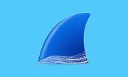 Wireshark中文版(网络抓包工具) v4.6.8 多语便携版下载 - 网络协议分析利器