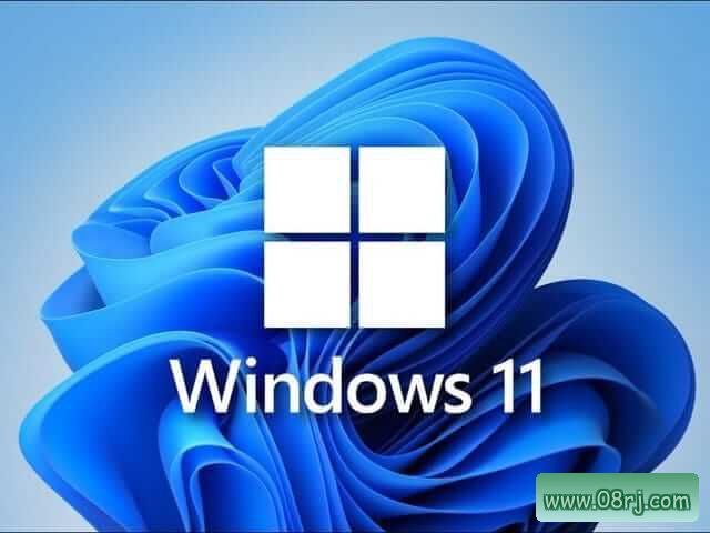 不忘初心游戏版 Win11 v23H2(22631.3737)