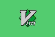 Vim v9.2.0260 中文绿色版 - 程序员必备编辑器