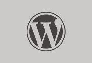 WordPress v6.9.4 中文版 彻底关闭自动更新优化代码教程