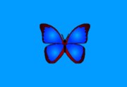 bkViewer v8.5b 数码照片浏览器 中文绿色版下载