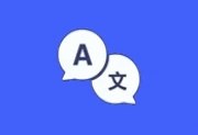 CopyTranslator v12.1.0 多语言翻译工具 中文绿色版