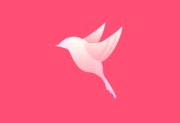 PTE Video Optimiser v1.0.2.5 视频编辑增强工具(便携版)