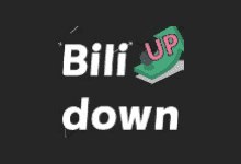 Bilidown(B站视频下载工具) v1.2.7 中文绿色版下载
