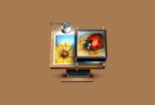 PhotoZoom Pro v9.0.2 多语便携版下载 - 图像无损放大软件