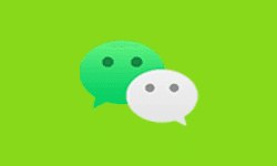 微信WeChat v8.0.49 谷歌版下载（2024最新安卓版）
