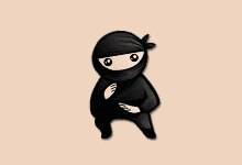 System Ninja Pro v4.0.1 系统优化清理工具多语便携版
