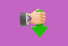 Internet Download Accelerator(IDA) v7.1.1.1729 下载加速器