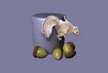SQuirrel SQL Client v4.5.1 中文免费版 - 开源SQL数据库引擎