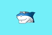 Shark007 Codecs v20.6.6 便携版 - 免费多媒体编解码器套件下载