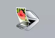 VueScan(扫描仪增强软件) Pro v9.8.53.09 多语便携版下载