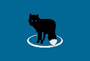 MetaFox(轻量级视频转换软件)v2.6.2便携版下载