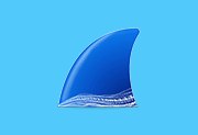 Wireshark中文版(网络抓包工具) v4.6.6 多语便携版下载