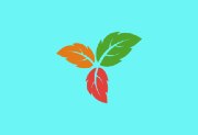 Trilium Notes(笔记应用程序) v0.103.0 中文绿色版下载