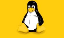 WSL Manager v2.1.0 中文绿色版下载-WSL可视化图形管理工具