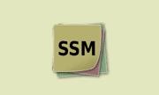 SmartSystemMenu(窗口置顶工具) v2.34.0 中文绿色版