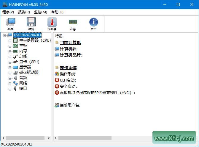 HWiNFO专业系统信息检测工具v8.54中文绿色版下载